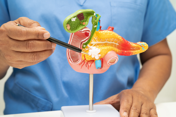 Liver Cancer